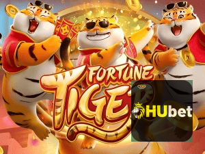 Guia install APK HUBET BR