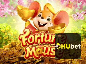 HUBET login — configurações de segurança e proteção de conta
